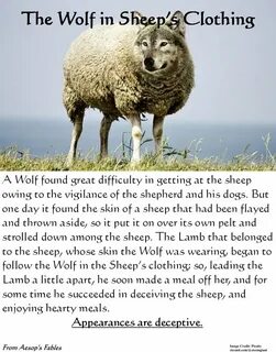 Wolf in Sheep's Clothing - Steemit