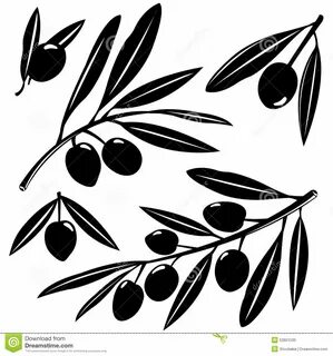 Olive branches silhouettes stock vector. Illustration of whi