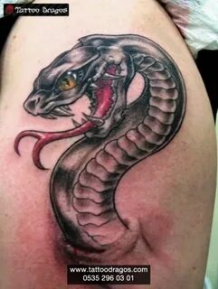 Yılan Tattoo #300 - Tattoo Dragos