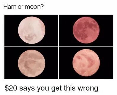 Ham or Moon? $20 Says You Get This Wrong Meme on ballmemes.c