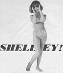 Slice of Cheesecake: Shelley Fabares, pictorial