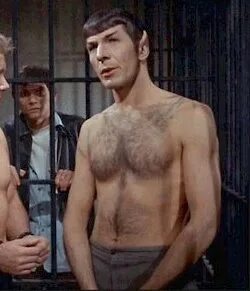 Shirtless+Spock.jpg (image)