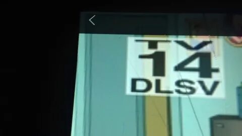 TV 14 DLSV - YouTube
