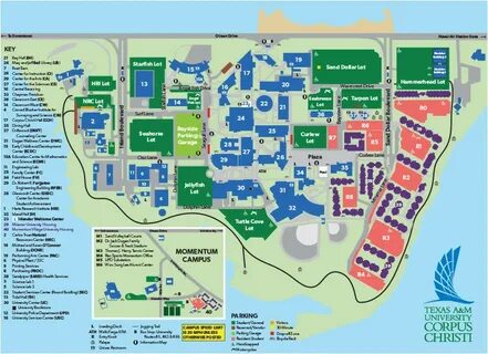 Texas Wesleyan University Campus Map Tamucc Campus Map Campi