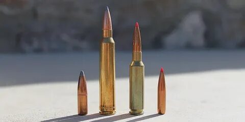 6.5 Creedmoor vs 300 Win Mag Review & Comparison - Big Game 