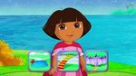 Dora the Explorer Season 8 Episode 13 Dora’s Museum Sleepove