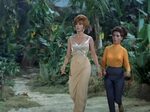 Gilligan's Island Lady gaga pictures, Ginger grant, Island o