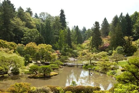 Photos: Japanese Garden at Seattle Arboretum.