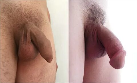 Uncircumcised pornstars