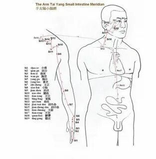 Pin on acupuncture