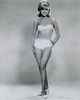 Pin on Shelley Fabares