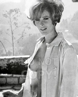 8x10 photo Jill St. John 2 pretty sexy 1960s-1970s movie star image 1.