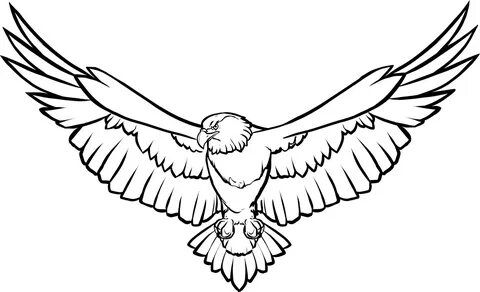 Free Image on Pixabay - Animal, Bird, Eagle, Flight, Flying 