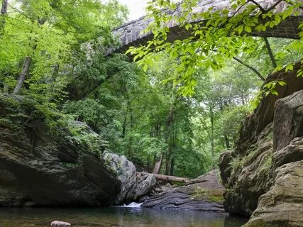 Where to Eat and Drink After Hiking in Wissahickon Valley Pa