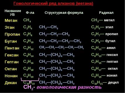 Гомологический ряд