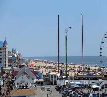 Not just another day at the beach in Maryland: 'Sea lice' at