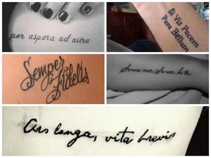 40 Tattoo Sprüche auf Latein und Griechisch: Wörter und kurz