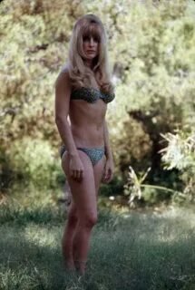 The Hottest Sharon Tate Photos Around The Net - 12thBlog