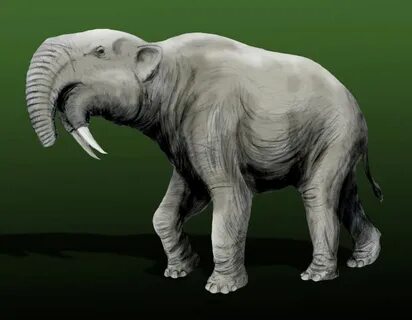 File:Deinotherium giganteum.jpg - Wikimedia Commons