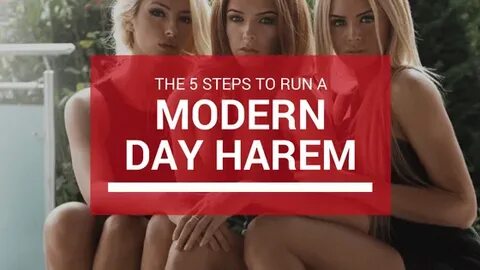 The 5 Steps to Run a Modern Day Harem - This Is Trouble