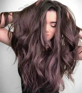 Healthy Hair Dark chocolate brown hair, Lilac hair, Brown ha