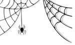 Download Cute Spider Web Images Free Download Clipart PNG Fr