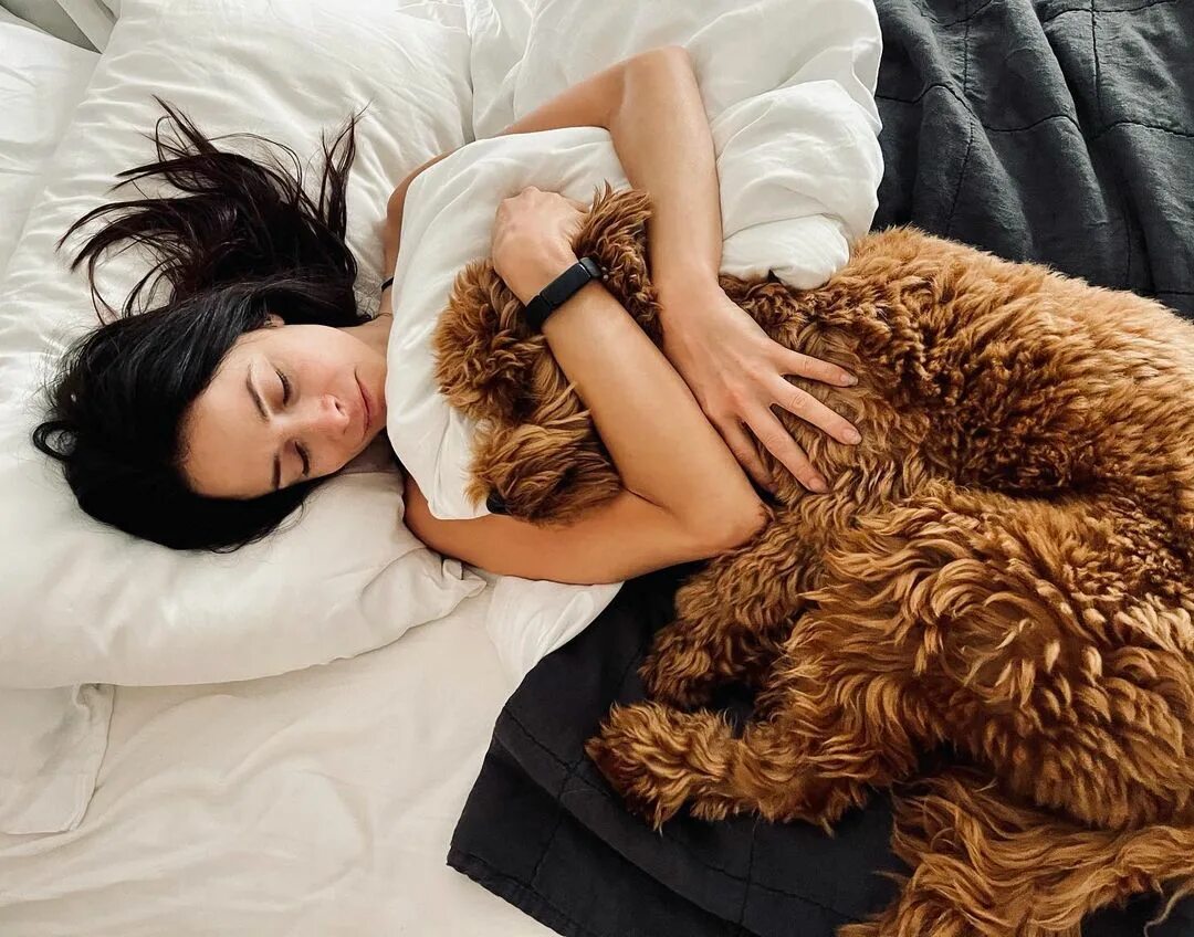 Публикация в Instagram Abigail Spencer: "Morning snuggles with Nelson ...