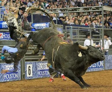 Concussions don't deter most bull riders