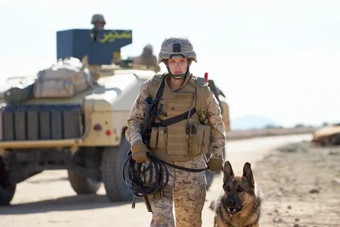 Peter Travers: 'Megan Leavey' Earns Your Tears - Rolling Sto