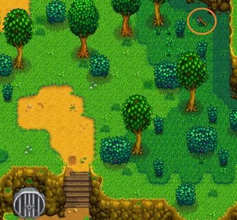 Где находится потерянный топор робина stardew valley?