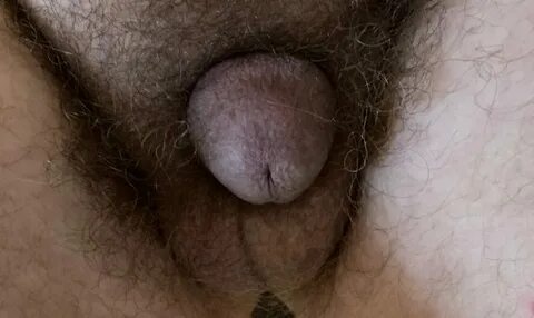 Small Balls, Tiny Nutsacks - ShowYourTinyDick - Page 3 of 7