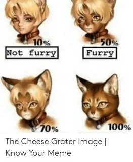 ✅ 25+ Best Memes About Raccoon Cheese Grater Raccoon Cheese 