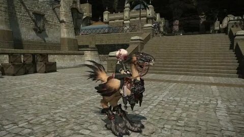 Final Fantasy XIV: A Realm Reborn - Legacy Chocobo - YouTube