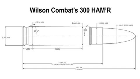 FIRST LOOK: The New Wilson Combat 300 HAM’R Cartridge Is Her