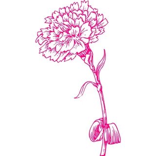 Pink Carnation PNG, SVG Clip art for Web - Download Clip Art