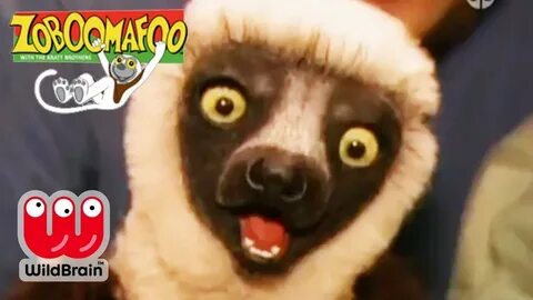 Zoboomafoo Full Episode: PlayTime Animals For Kids - YouTube
