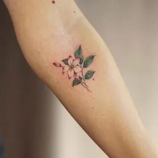 Pin by Becca Lewis on tattoos Jasmine flower tattoos, Jasmin