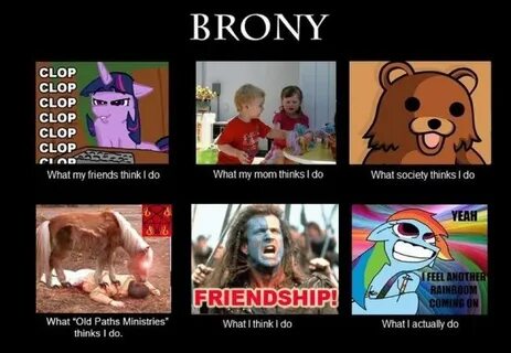 Image - 252836 My Little Pony: Friendship is Magic Know Your