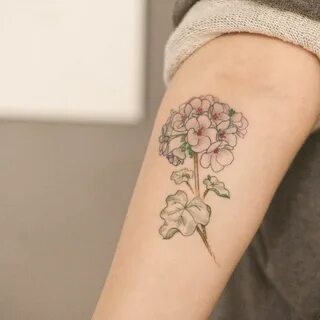 Pin by Misra Karacor on Screenshots tattoos Geranium tattoo,
