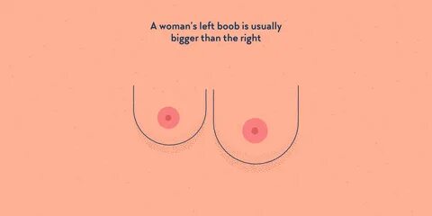 A woman’s left boob is usually bigger than the right - Factourism