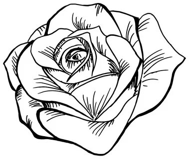 Free Rose outline 1191360 PNG with Transparent Background