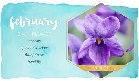 February Birth Flower: Violet - FTD.com