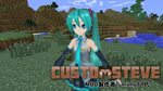 Custom Steves Mod server side? - Mods Discussion - Minecraft