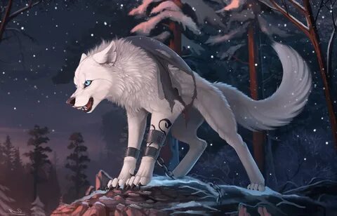 Furry Wolf Wallpaper (73+ images)