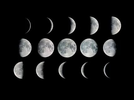 Exploring Lunar Phases: How Your Library Can Support Science