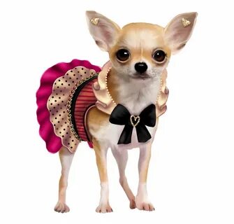 Dogs Chihuahua - Clip Art Library
