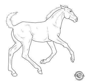 gaited horse lineart - Google Search Horse coloring pages, F