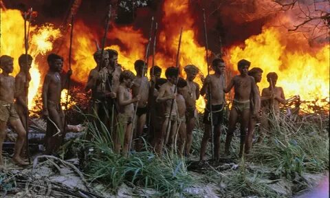 Warner Bros Plans Female Version of 'Lord of the Flies' - Fa