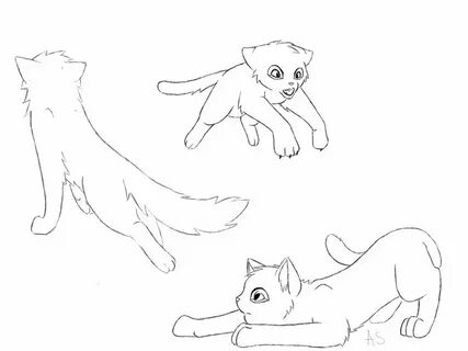 Cat bases by AnnMY on deviantART Warrior cats, Cats, Animal 