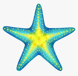 Transparent Starfish Clipart, HD Png Download , Transparent 